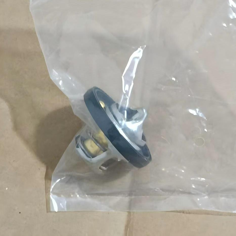 1153 1 485 847, 11537596787, 04666140AA Engine Coolant Wax Thermostat for BMW CHRYSLER